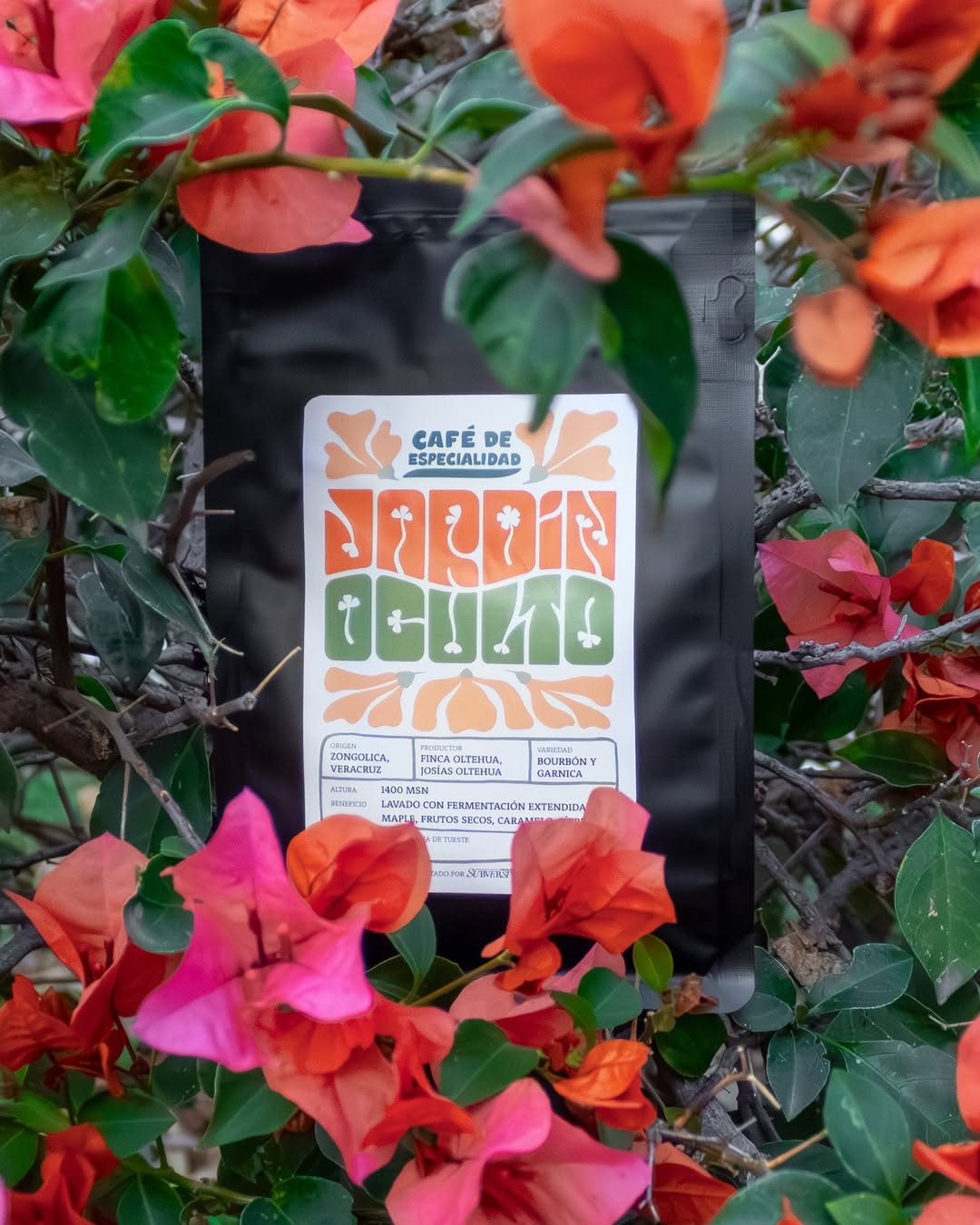 Taza de café de especialidad de Jardín Oculto